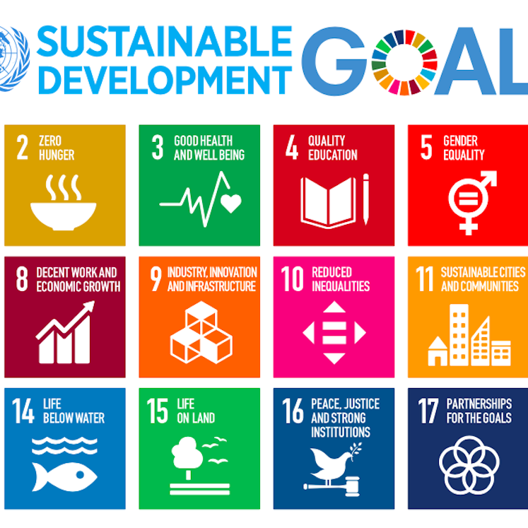 quality_education Sustainable Development Goals